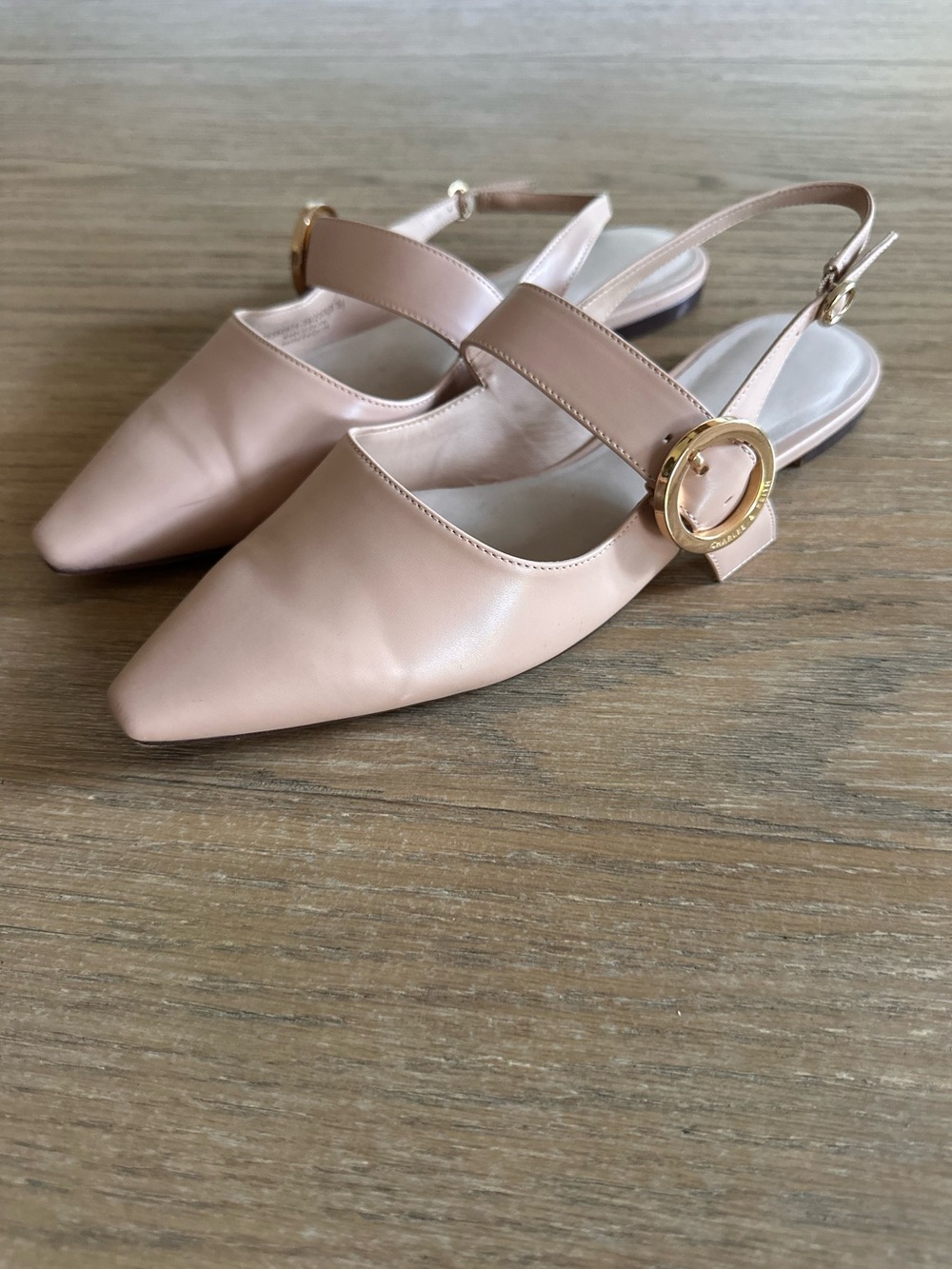 Charles & Keith Blush Pointed Toe Slingback Flats EU 39 US 9